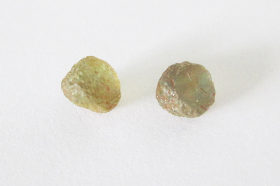 Natural Yellow Green Montana Sapphire Rough Pair 2.50cts